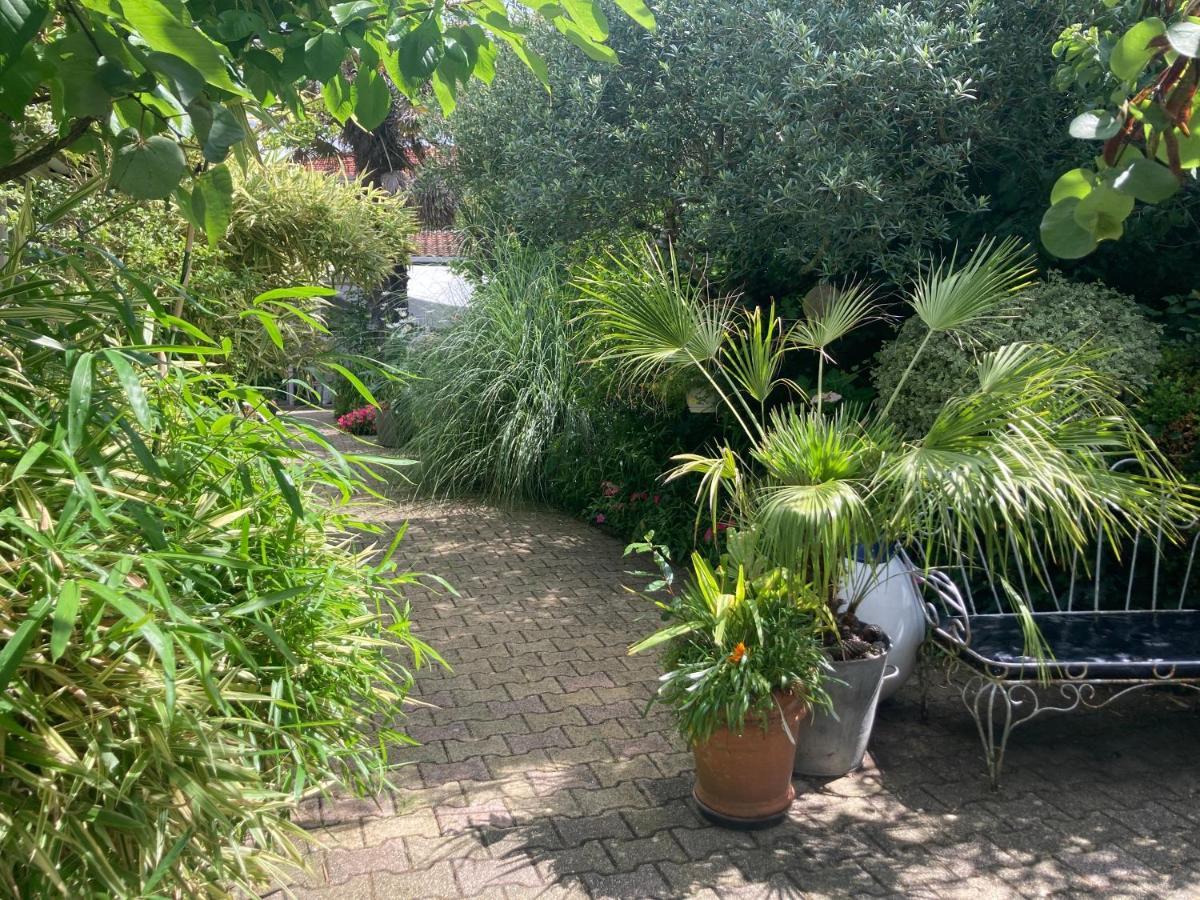 Maisonnette Studio Arcachon 300M Plage المظهر الخارجي الصورة