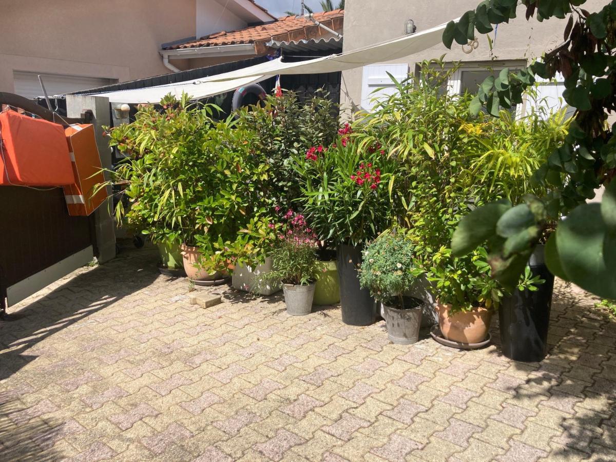 Maisonnette Studio Arcachon 300M Plage المظهر الخارجي الصورة
